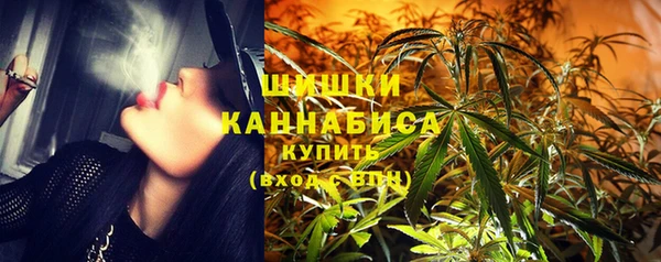 стаф Киренск