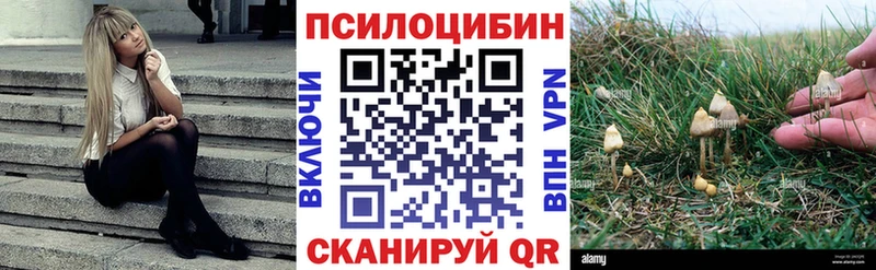 Галлюциногенные грибы мухоморы  Купить закладки  Советск 